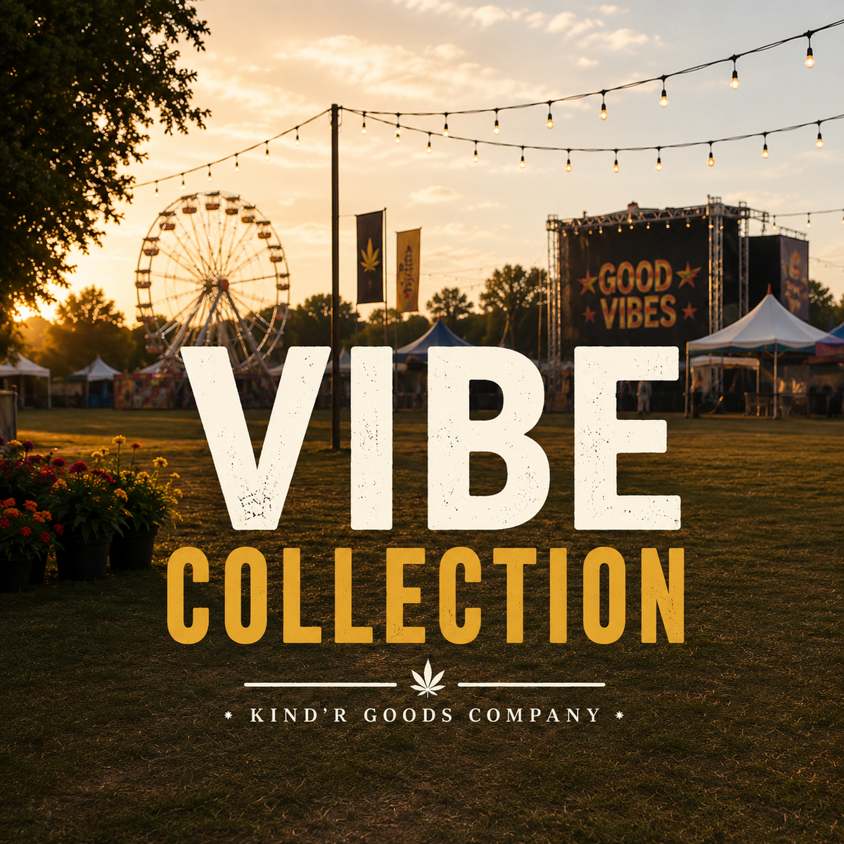Vibe Collection